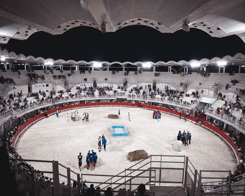 Spectator arena
